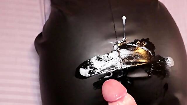 Leather Fetish Compilation - Dry Humping, Thighjob and