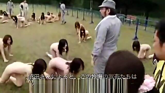 Human Slave Farm JAV (ENF) Part 1