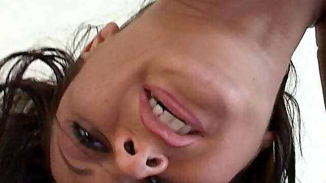 Fists and Ass of Fury