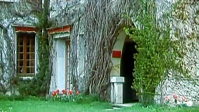 The Hotel of Fantasies