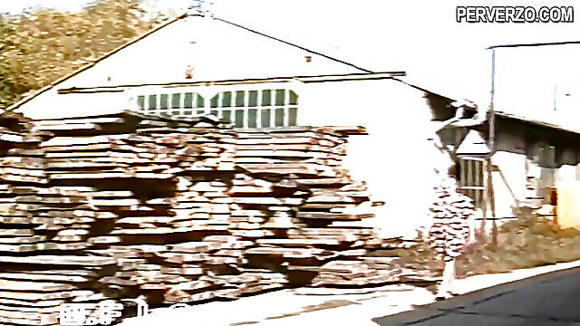 Girl roughly shaved and teached to be submissive DVD