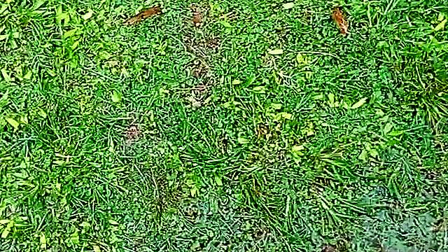 Pies Mojados y barro: placer bajo la lluvia.