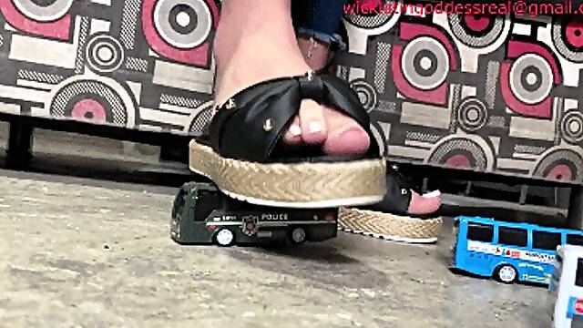 Cars288