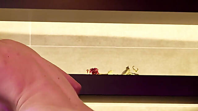 Job Sollicitation for Alice Berry