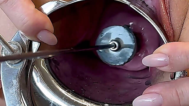 Stretching My Cervix with Small Stallion Dildo